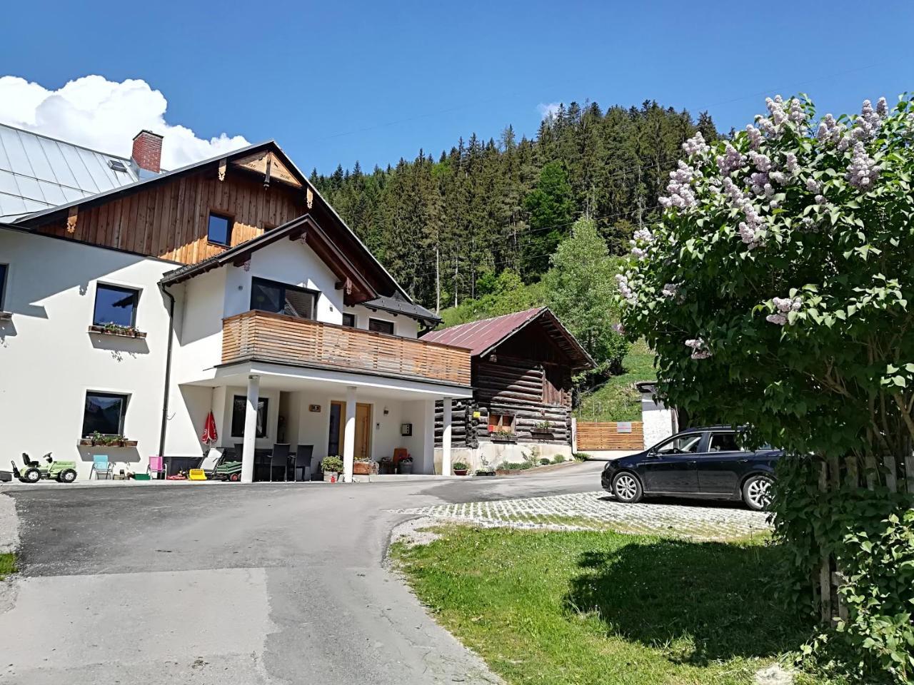 Appartement Grosswallner Radstadt Bagian luar foto